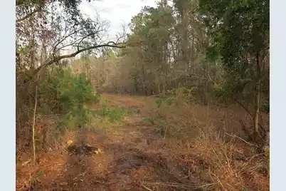 6336 North Road, North, SC 29112 - Photo 1