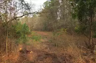 6336 North Rd, North, SC 29112 - Photo 1