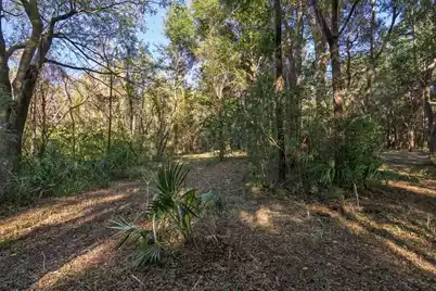 8356 Crooked Creek Lane, Edisto Island, SC 29438 - Photo 37