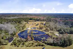 933 Tree Farm Ln, Cross, SC 29436 - Photo 87