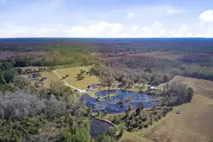 933 Tree Farm Ln, Cross, SC 29436 - Photo 85