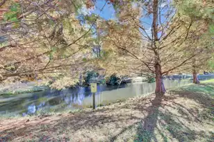 169 Gazania Way, Charleston, SC 29414 - Photo 43