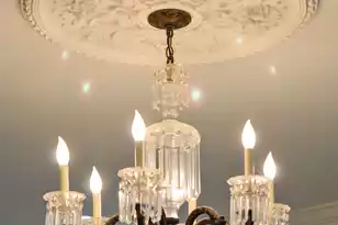 119 Civitas St, Mount Pleasant, SC 29464 - Photo 13