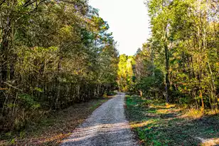 240 Groomsville Rd, Moncks Corner, SC 29461 - Photo 3