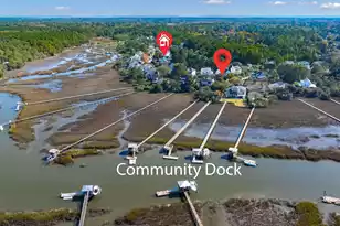 1365 Black River Rd, Mount Pleasant, SC 29466 - Photo 45