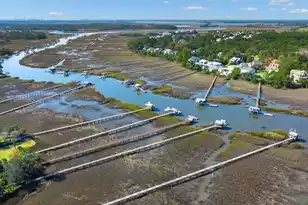 1365 Black River Rd, Mount Pleasant, SC 29466 - Photo 43