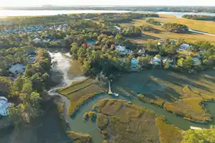 268 Marsh Ibis Trail, Mount Pleasant, SC 29464 - Photo 51