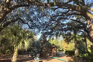 268 Marsh Ibis Trail, Mount Pleasant, SC 29464 - Photo 57