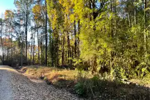 0 Dig It Rd, Summerville, SC 29483 - Photo 3