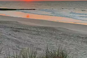 3113 Palmetto Blvd, Edisto Island, SC 29438 - Photo 1