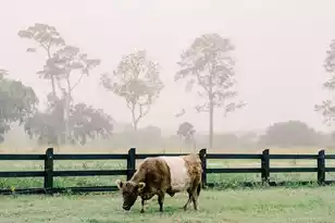 8072 Jack Is Dr, Johns Island, SC 29455 - Photo 65