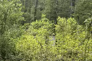 00 Weir St, Summerville, SC 29483 - Photo 1