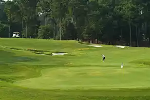 118 Kirkwood Ct, Orangeburg, SC 29118 - Photo 23