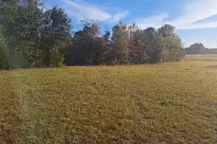 01 Joby Ln, Eutawville, SC 29048 - Photo 1