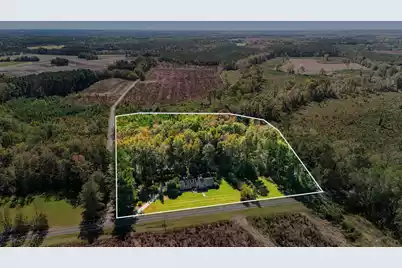 598 Maple Branch Road, Reevesville, SC 29471 - Photo 3