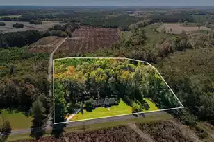 598 Maple Branch Rd, Reevesville, SC 29471 - Photo 1