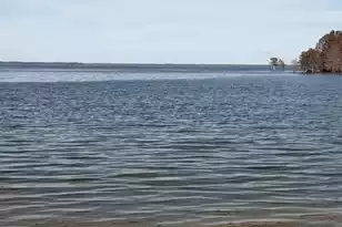 518 Knott Dr, Eutawville, SC 29048 - Photo 13