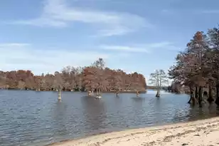 518 Knott Dr, Eutawville, SC 29048 - Photo 15