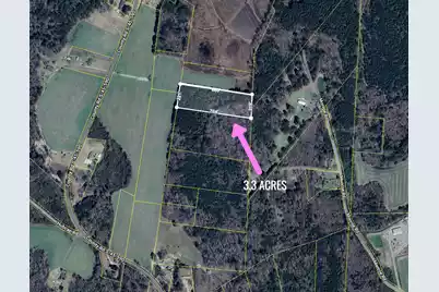 0 Pinckney Road, Kingstree, SC 29556 - Photo 1