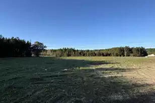 677 Winningham Rd, Saint George, SC 29477 - Photo 7