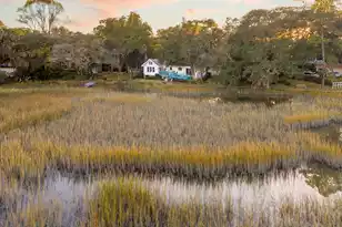 1996 Minott St, Charleston, SC 29412 - Photo 31