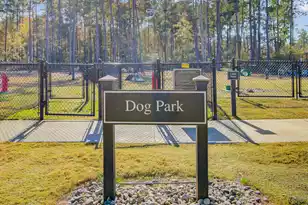 771 Blue Iris Wy, Summerville, SC 29486 - Photo 97