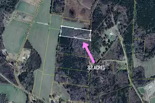 952 Gausetown/Pinckney Rd, Kingstree, SC 29556 - Photo 3