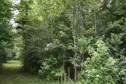 0 Kitfield Road, Moncks Corner, SC 29461 - Photo 5