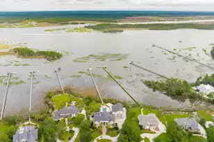 4145 Colonel Vanderhorst Cir, Mount Pleasant, SC 29466 - Photo 5