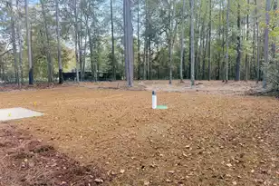 179 Gospel Hill Ct, Orangeburg, SC 29115 - Photo 13