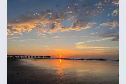 1444 Dahlia Road, Mount Pleasant, SC 29464 - Photo 9