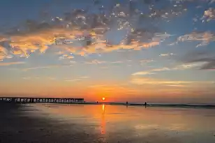 1444 Dahlia Rd, Mount Pleasant, SC 29464 - Photo 9