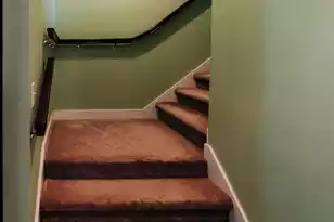 544 Capers Rd, Walterboro, SC 29488 - Photo 61