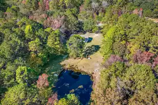 7687 Hwy 162, Hollywood, SC 29449 - Photo 35