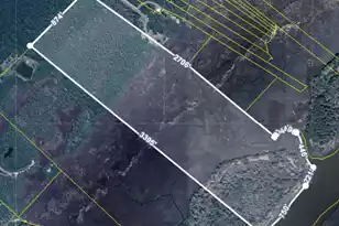 0 Dupre Rd, McClellanville, SC 29458 - Photo 1