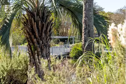 2433 Racquet Club Drive, Seabrook Island, SC 29455 - Photo 61