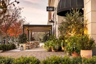 171 Wentworth St, Charleston, SC 29401 - Photo 59