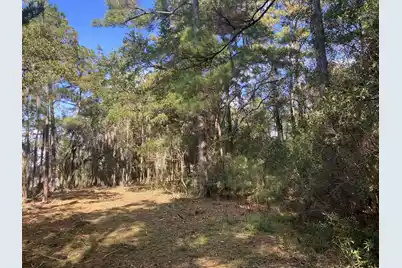 Lot 35 Josie Ridge, Wadmalaw Island, SC 29487 - Photo 15