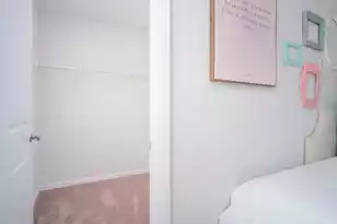 217 Central Creek Dr, Goose Creek, SC 29445 - Photo 25