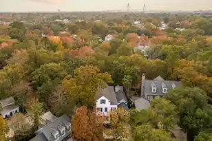 31 Frogmore Rd, Mount Pleasant, SC 29464 - Photo 39