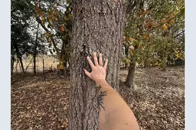 0000 Sc-39 Highway, Williston, SC 29853 - Photo 9