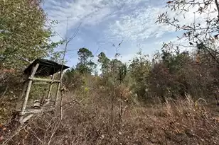 3391 Davis Bridge Rd, Williston, SC 29853 - Photo 1