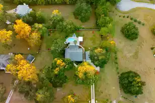 5323 Peerless Pl Dr, Wadmalaw Island, SC 29487 - Photo 7