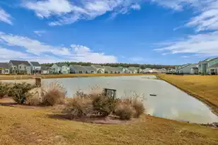 1011 Swamp Harrier Ave, Ravenel, SC 29470 - Photo 47