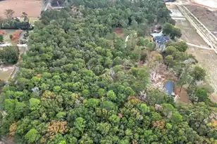 2257 Mt Carmel Rd, Walterboro, SC 29488 - Photo 69