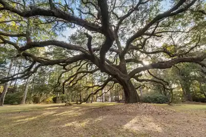 9875 Jamison Road, Summerville, SC 29485 - Photo 15