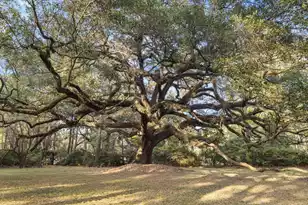 9875 Jamison Rd, Summerville, SC 29485 - Photo 123