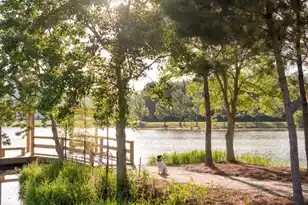 116 Bloomsbury St, Summerville, SC 29486 - Photo 29