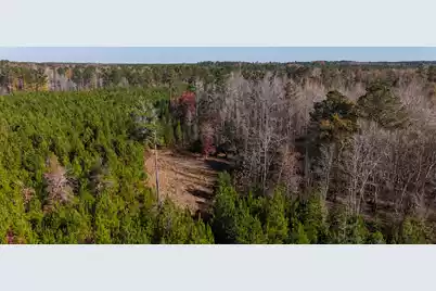 0 Mill Creek, Bethune, SC 29009 - Photo 5