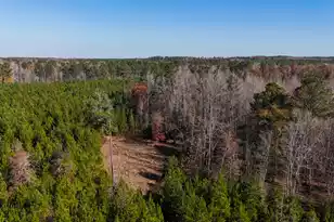 0 Mill Creek, Bethune, SC 29009 - Photo 5